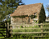 Click here for a picture of a local "old Shed"